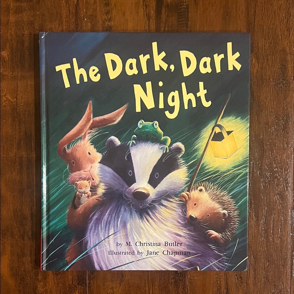 5 /$10 Kids Picture Book | The Dark, Dark Night by  M. Christina Butler